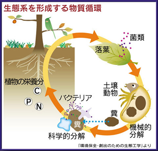 物質循環